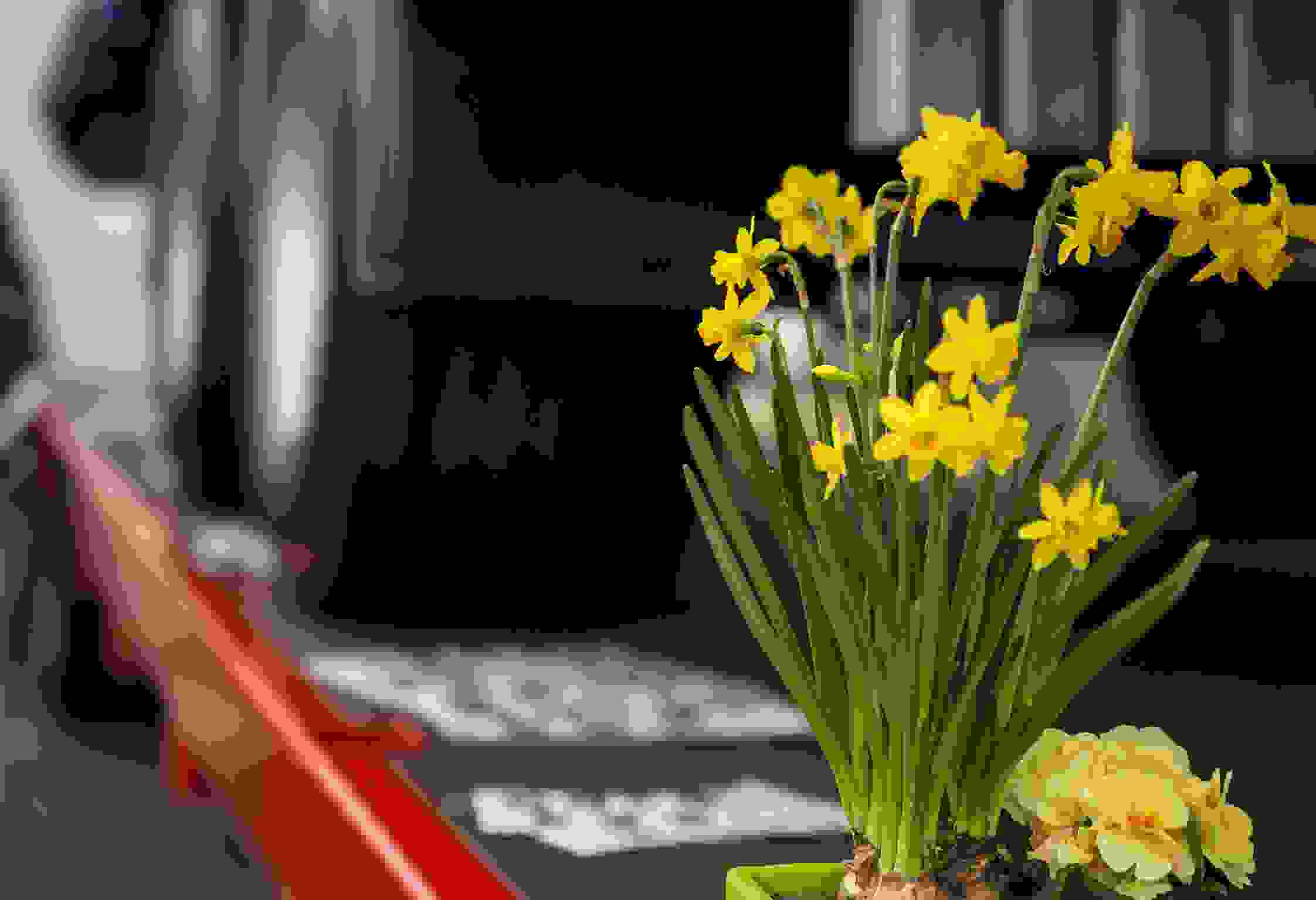 SAVAAS_Impressum